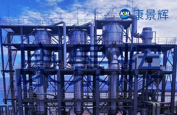 3t/h丁二酸三效蒸發(fā)器